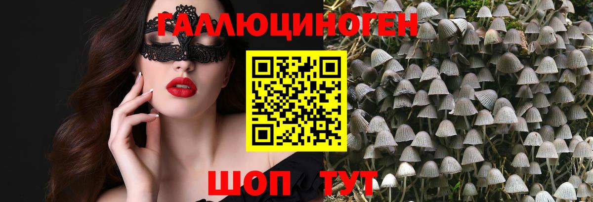 Псилоцибиновые грибы Psilocybe Ялта
