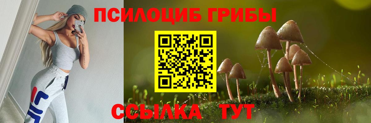 Ялта  Псилоцибиновые грибы прущие грибы  Вход с VPN 